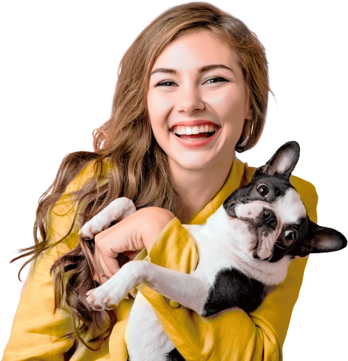 Emergência Vet 24h Clínica Veterinária