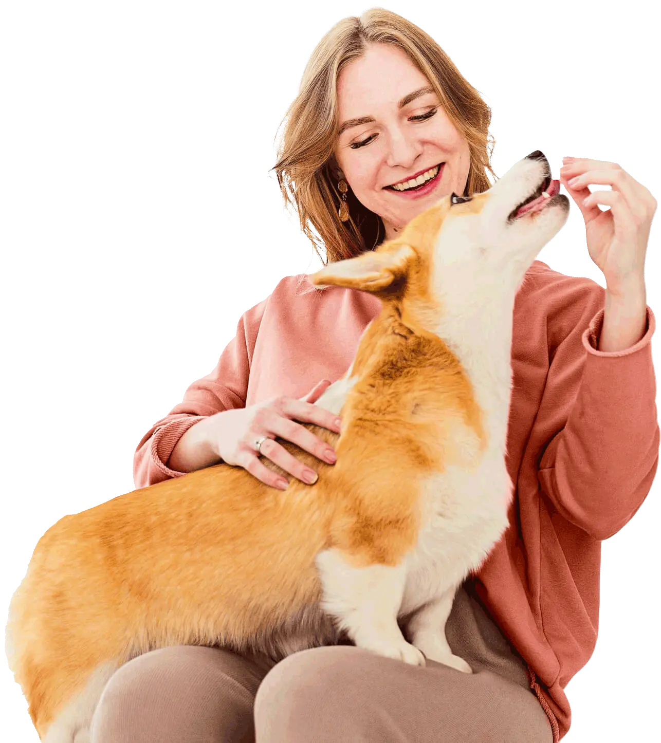 Emergência Vet 24h Clínica Veterinária